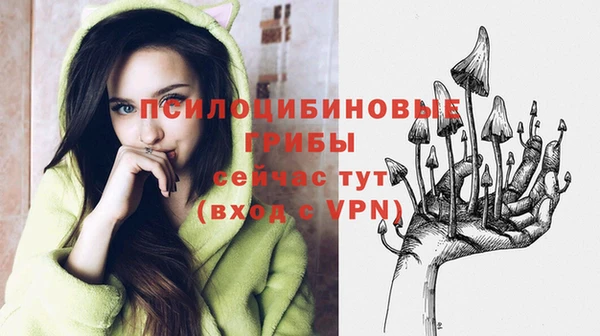 каннабис Гатчина