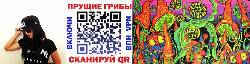 закладка  Болотное  Псилоцибиновые грибы Cubensis 